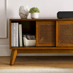 Mobile TV vintage in rattan con 2 armadietti e 4 gambe in legno per soggiorno, camera da letto e ufficio